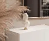 A white TV lowboard with a decorative bust and pampas grass in a modern living room setting. Produktbild-Vorschau