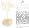 Japanisches Blutgras (Imperata cylindrica) - Winterhartes Produktbild-Vorschau 6