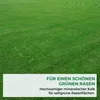 Allflor Rasenkalk, fein gekörnt, 20kg, mineralischer Kalk Produktbild-Vorschau 2