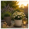 Pflanztopfuntersetzer Mira Taupe Ø 19cm - Frostsicher & Produktbild-Vorschau 4