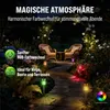 A garden path at night, illuminated by colorful solar lights. Produktbild-Vorschau
