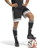 adidas SQUADRA 25 SHORTS  Herren Trainingsshorts Produktbild-Vorschau 5