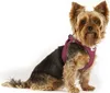 Curli Clasp Vest Geschirr Air-Mesh Special E. 2022 Moss 2XS Anteprima dell’immagine prodotto 9