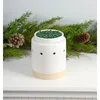 1.09 Scentsicles vonné granule 125g - WHITE WINTER FIR - Náhľad obrázku produktu 8
