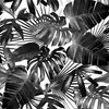 Coloray Fototapete 312x219 cm An Einer Wand Latex Produktbild-Vorschau 2