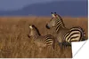 MuchoWow® Poster Mutter und Babyzebra 180x120 cm - Produktbild-Vorschau 2