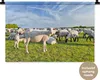 MuchoWow® Wandteppich Wandbehang Schafe - Weiß - Wolle Produktbild-Vorschau 1