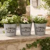 3er Set Blumeneimer aus Metall mit Henkel Flowers & Garden Produktbild-Vorschau 5