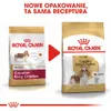Royal Canin Cavalier King Charles Adult, Adult, Cavalier Produktbild-Vorschau 9