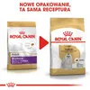 Royal Canin Maltese 24 Adult - 1,5 kg Voir les images du produit 6