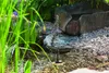 A small solar-powered fountain pump operating in a garden pond with aquatic plants and decorative stones. Produktbild-Vorschau