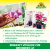 Neudorff Neudorff BioKraft Vitalkur für Orchideen 500 ml Produktbild-Vorschau 4