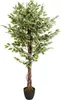 hjh OFFICE Umělá rostlina FICUS Umělá rostlina břízy Výška Náhled obrázku produktu 6