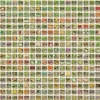 A collage of many small images, each showing a different type of seed packet or produce. Produktbild-Vorschau