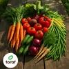 Toraf Semená zeleniny XXL set 2500 semien 12 druhov Náhľad obrázku produktu 3