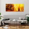 Bilder auf glas - Wald Baum Natur - 120x50cm - Glasbilder - Produktbild-Vorschau 6