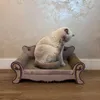 A cat is sitting on a stylish cat sofa and scratching itself. Voir les images du produit