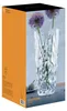Nachtmann Sculpture Vase, Ďalší, Sklo, Priesvitné, Tabuľka, Náhľad obrázku produktu 1