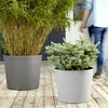 Poétic 022057 G.ANT SX poétic kvetináč ELEMENT, kužeľovitý, Náhľad obrázku produktu 2