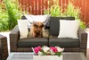 MuchoWow® Outdoor Kissen - Schottisches Hochlandrind - Kuh Produktbild-Vorschau 5