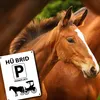 Pferd mit Kutsche Metallschild in 15x20 cm mit Spruch Hü Produktbild-Vorschau 5