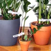 Etichette per piante Etichette per la semina di fiori 100 Anteprima dell’immagine prodotto 7