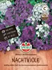 Artikelbild 2 von 'Nachtviole SPERLI's Nachtschwärmer' aus der Kategorie Blumensamen Produktbild-Vorschau