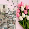 Puzzle Martin Schwartz Paris, puzzle de ville France, 50 x Voir les images du produit 10