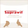 Supravit Taubenfutter Basis 5 kg | Körnermischung Produktbild-Vorschau 7