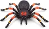 Robo Alive - Obrovská tarantula Náhľad obrázku produktu 3