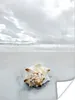 MuchoWow® Poster Muschel - Strand - Himmel 120x160 cm - Produktbild-Vorschau 1