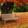 CLP Teakbank Jackson V2 Gartenbank mit Rückenlehne Produktbild-Vorschau 5