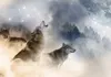 Vlies Fototapete - Pack 100x70 cm Tiere g-A-0237-a-a Produktbild-Vorschau 5