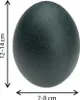 Echtes Emu Ei Natur 13 cm – ausgeblasenes Deko Ei Produktbild-Vorschau 3