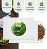 Dill Samen - Küchenkräuter Saatgut aus biologischem Anbau Produktbild-Vorschau 4