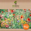 Biobalu Bienenweide Saatgutmischung Natur - 50g - Süd Produktbild-Vorschau 5