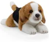 Carl Dick Beagle circa 20 cm, peluche, peluche, peluche Anteprima dell’immagine prodotto 1