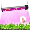 A grow light illuminating young plants. Náhľad obrázku produktu