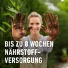 Dünger Substrat Für Kakteen 5L Compo Produktbild-Vorschau 16