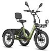 E Trike, Last bis 180 kg, Reichweite 100 km, 48 V 25 Ah Produktbild-Vorschau 2