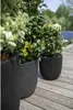 Capi Pflanzgefäß Groove 35x34 cm Schwarz Produktbild-Vorschau 12