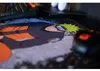 Disney, Alice im Wunderland - 1000 Teile Puzzle (Thomas Produktbild-Vorschau 7