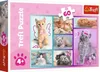 Trefl 17373, 60 kusov, Zvieratá, 4 rok / roky Náhľad obrázku produktu 1