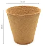 Artikelbild 15 von '10 cm Anzuchttopf rund auf Holzfaser Basis' aus der Kategorie Anzuchttöpfe Produktbild-Vorschau