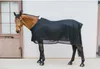 Kentucky Horsewear Mesh Fliegendecke Schwarz Produktbild-Vorschau 2