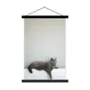 MuchoWow® Textilposter Katze - Britisch Kurzhaar - Grau - Produktbild-Vorschau 1
