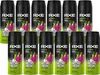 Axe Epic Fresh 12 x 150 ml Deo Deodorant Deospray Deodorant Produktbild-Vorschau 3