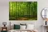 OneMillionCanvasses® - Leinwandbilder - 150x100 cm, Wald - Produktbild-Vorschau 6