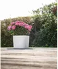 Selbstbewässernder Topf Garden ID Weiß 25 x 25 cm Produktbild-Vorschau 4