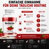 Berberin – 500 mg Extrakt aus Berberis-Aristata-Wurzel zur Produktbild-Vorschau 5